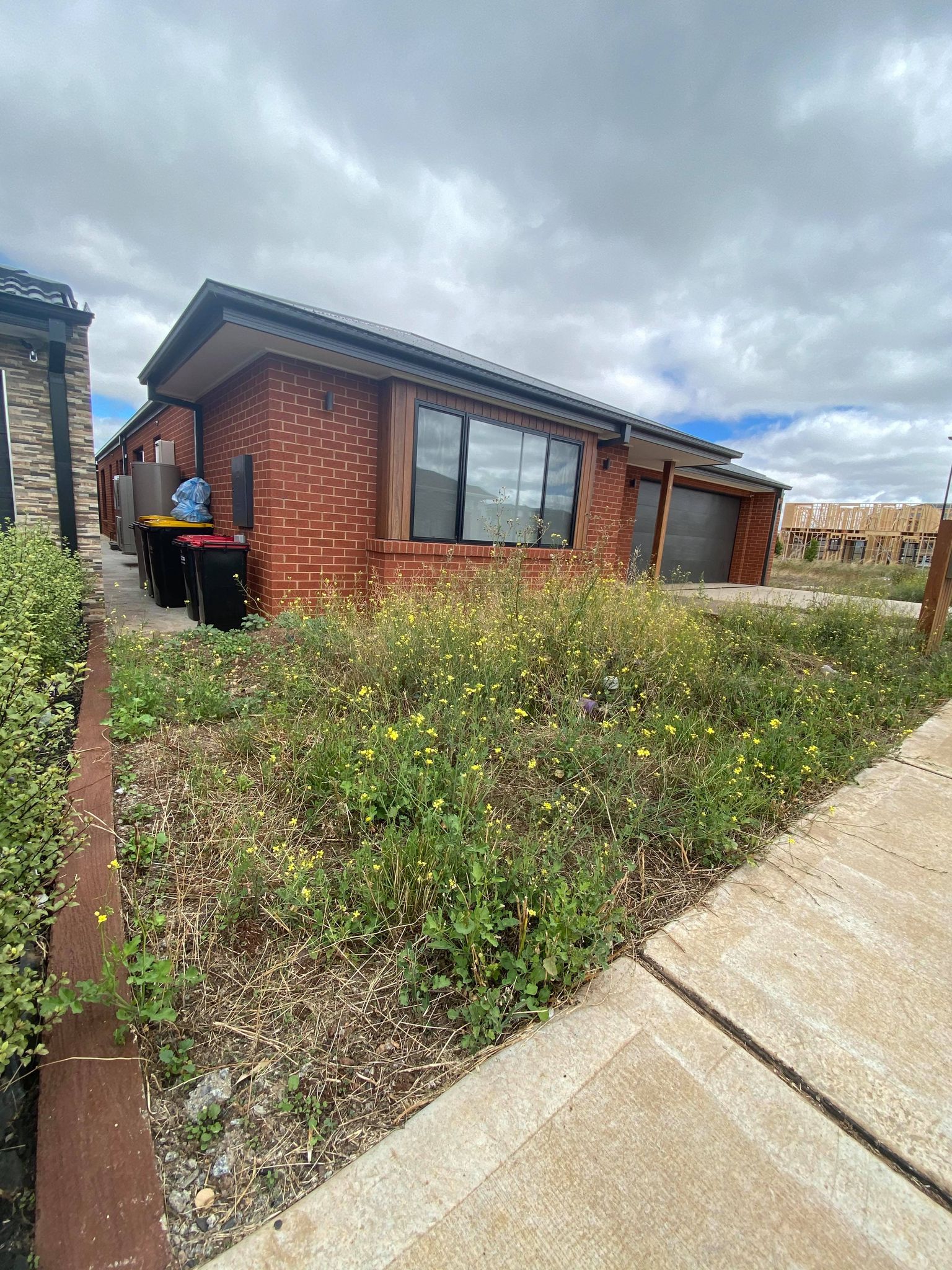 Before view of a completed large garden maintenance project